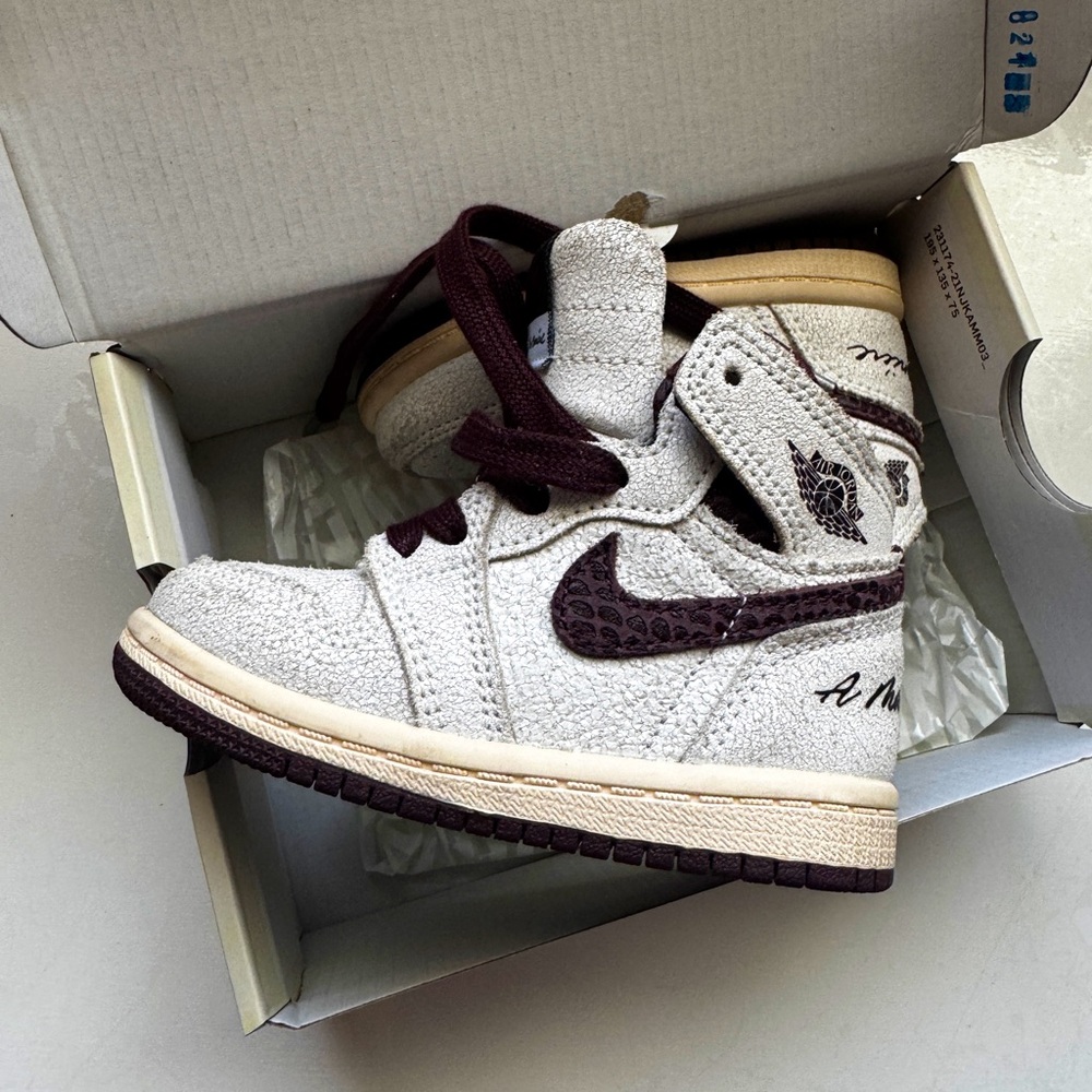 Jordan 1 Retro High OH SP (TD)